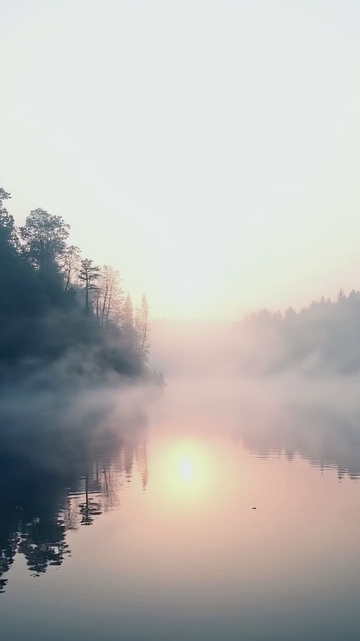 Video of a misty loch surrounded by forests for Linktree